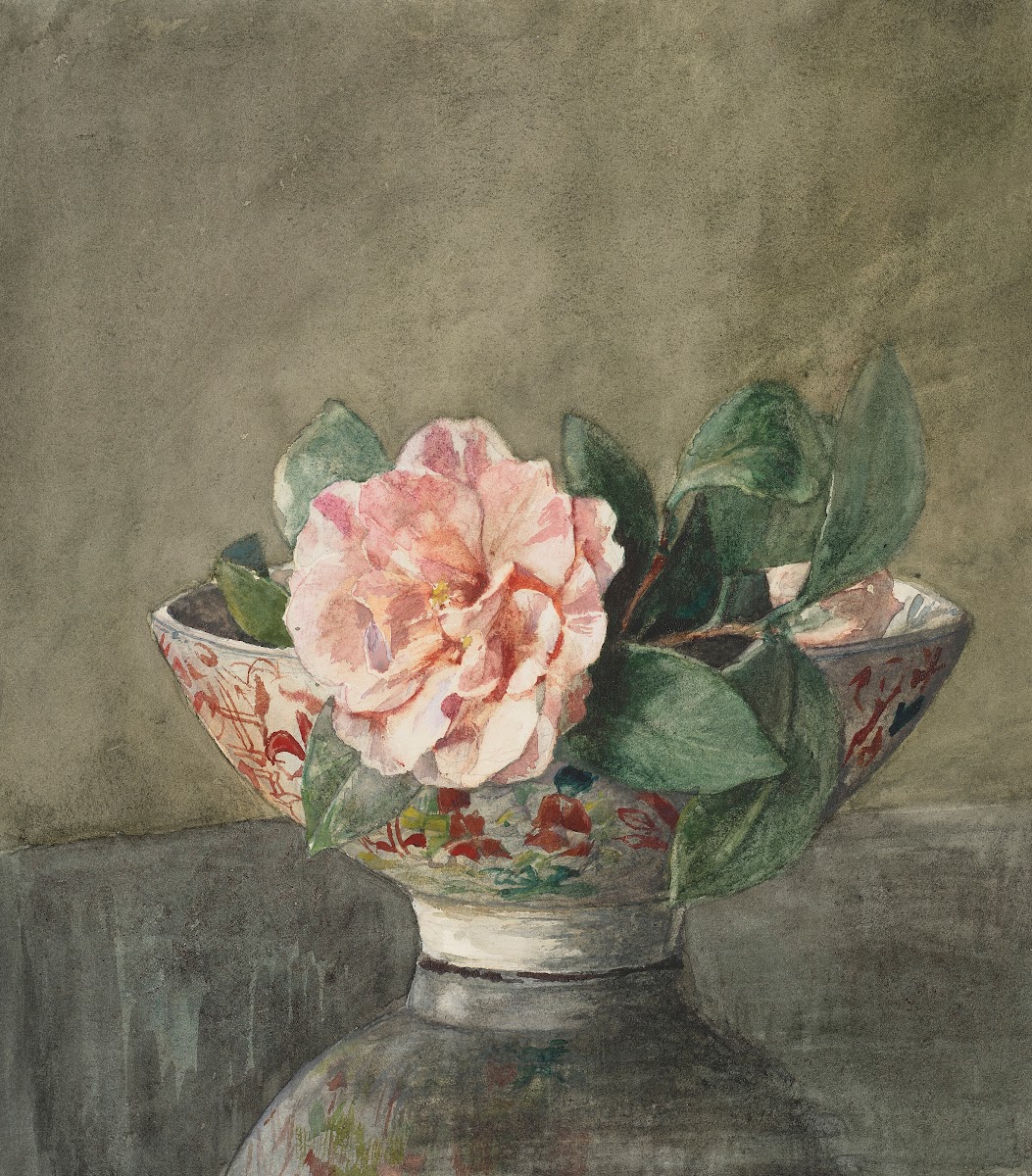 Camellia in Old Chinese Vase on Black Lacquer Table 1879