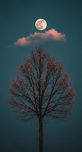 Moody High-Contrast Photograph of a Full Moon Over a Silhouetted Tree with Tiny Blooms