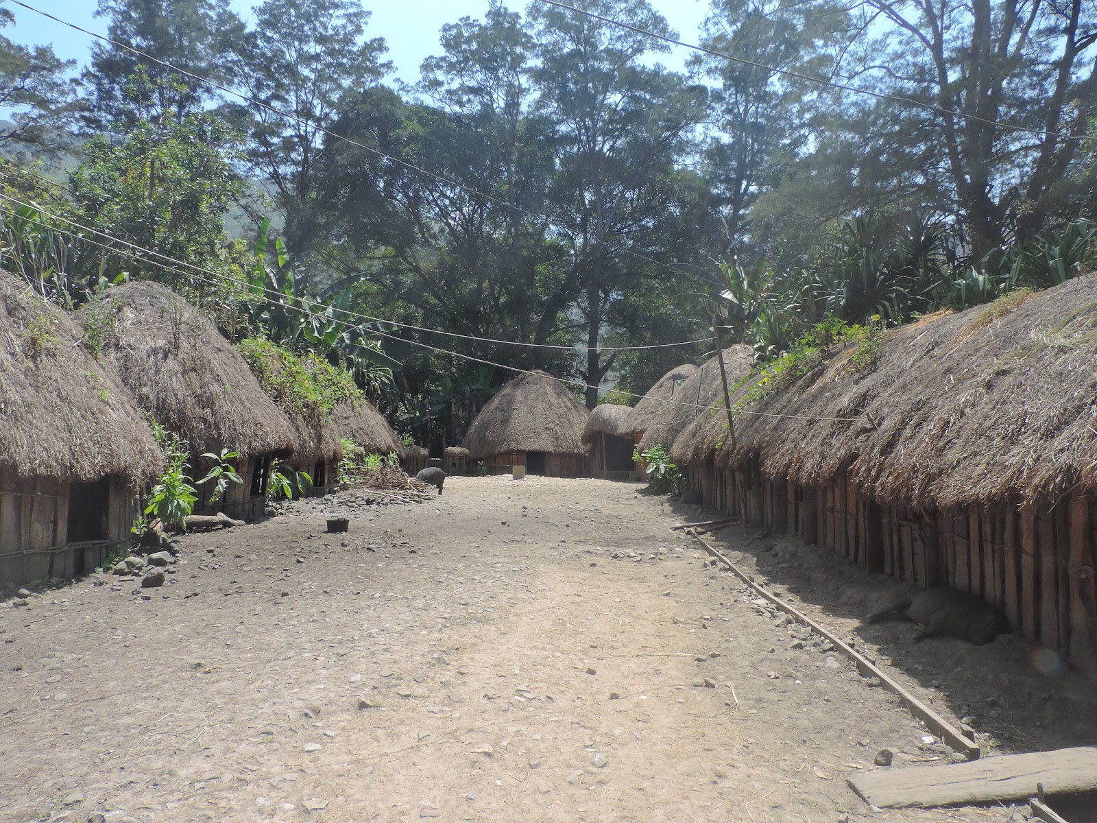 Rumah Honai: Warisan Hunian Tradisional Papua Pegunungan