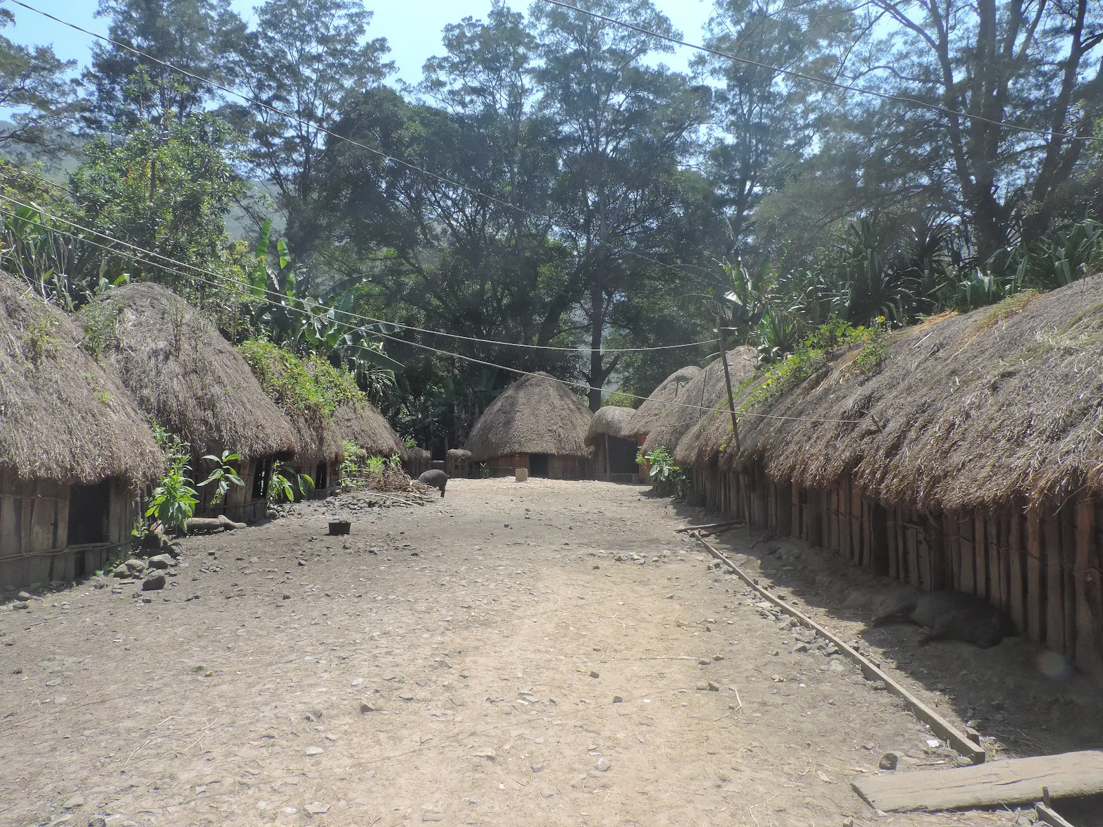 Rumah Honai: Warisan Hunian Tradisional Papua Pegunungan