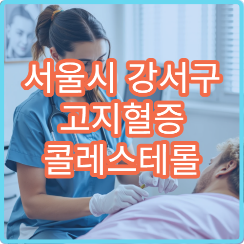 서울시 강서구 고지혈증 콜레스테롤 관리 영양 상담 내과 전문 병원