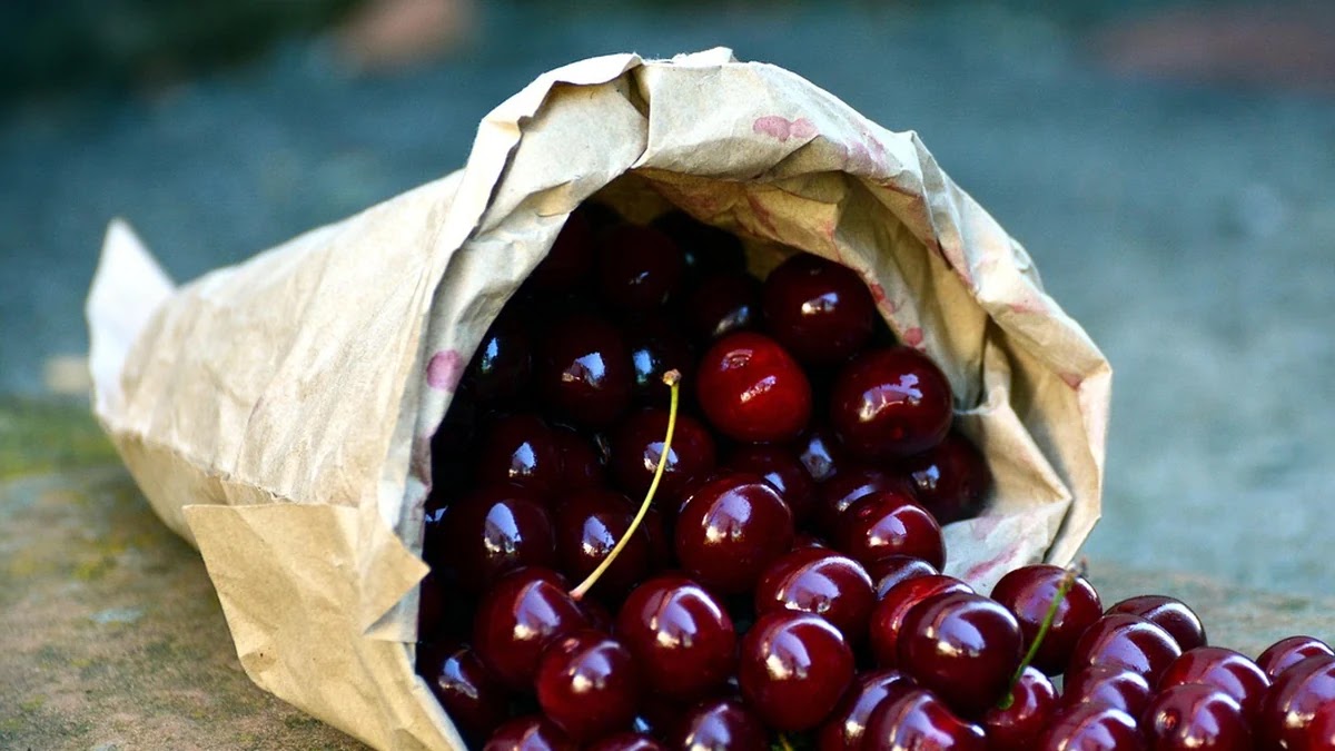 가족 건강을 위한 필수 영양제 선택 기준과 복용법