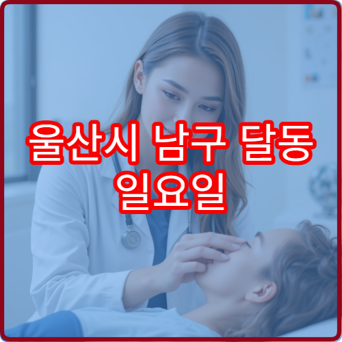 울산시 남구 달동 일요일 비뇨의학과 진료 가능한 병원 배뇨 질환 진료