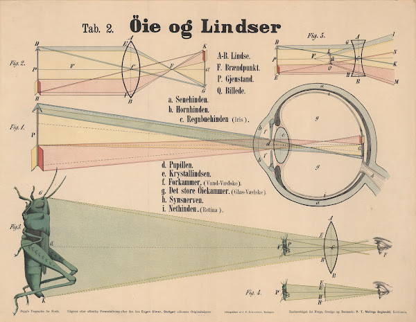 Human eye and lenses 1870