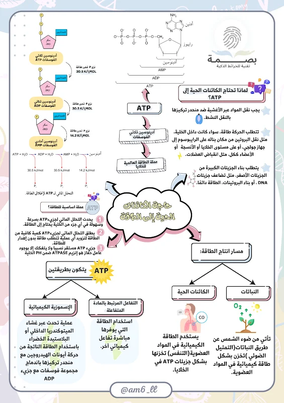 صورة الغلاف