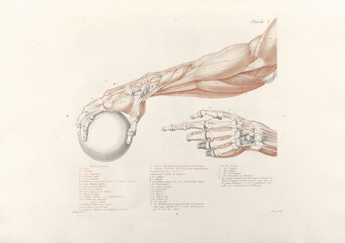 Anatomie du gladiateur combattant Pl04 1812