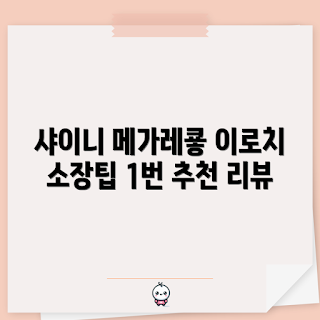샤이니 메가레쿠쟈, 아르세우스 가격, 이로치레쿠쟈 구매, 포켓몬스터 리뷰, 메가레쿠쟈 왜 좋나요