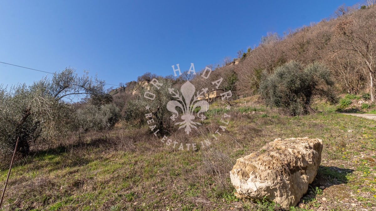 לה מרצולינה (La Marzolina) — 21