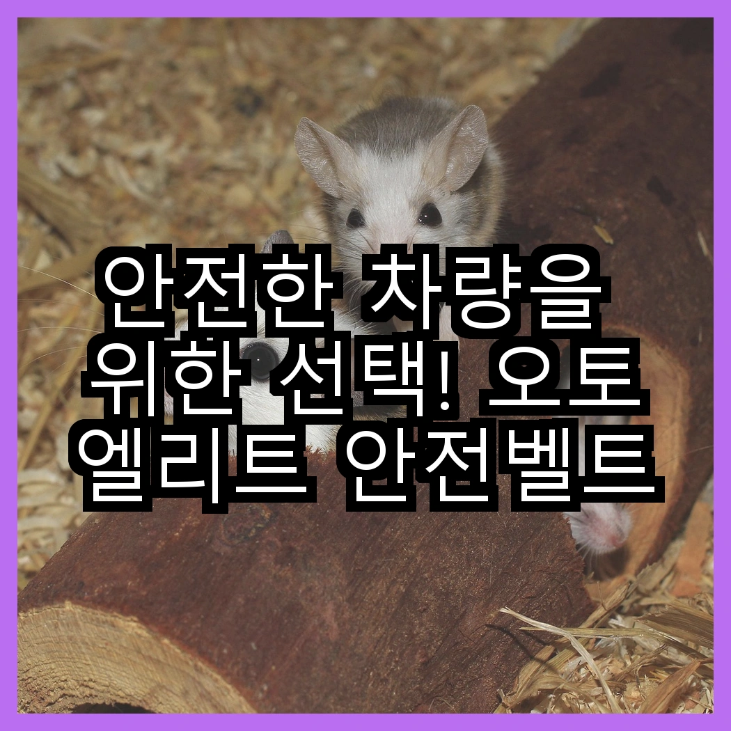 안전한 차량을 위한 선택! 오토엘리트 안전벨트클립 vs 일신 보수용 빠데, 어떤 제품이 필요할까? 썸네일