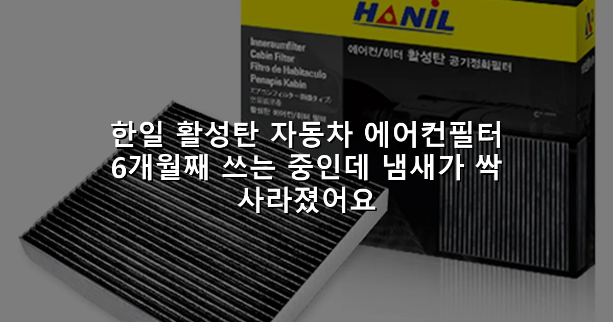 한일 활성탄 자동차 에어컨필터 6개월째 쓰는 중인데 냄새가 싹 사라졌어요