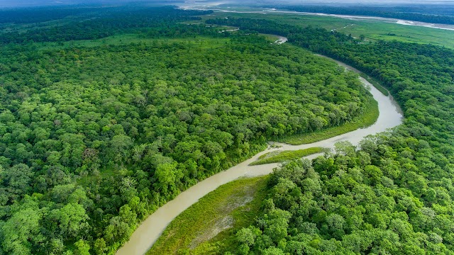 352|JALDAPARA PACKAGE - LATAGURI