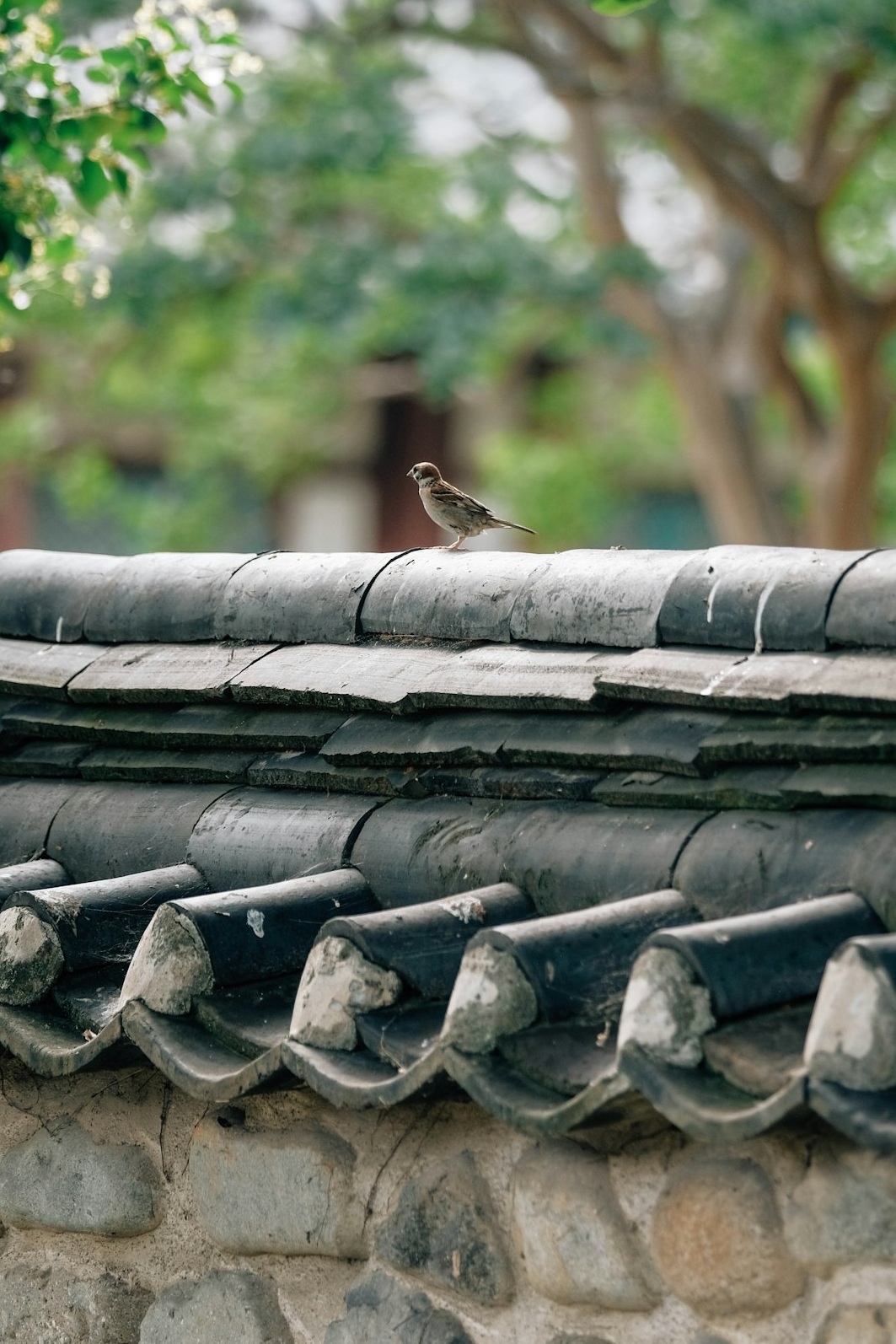 전주 한옥마을: 2026 인생샷 핫플 완벽 가이드
