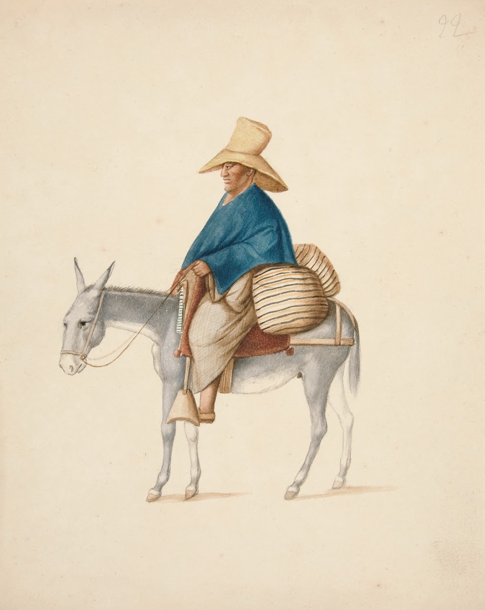 Man on Mule with Loaded Saddlebacks ca1850