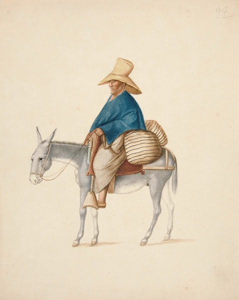 Man on Mule with Loaded Saddlebacks ca1850