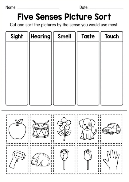 Five Senses Picture Sort Worksheet