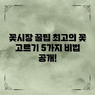 꽃도매시장, 꽃 구매 팁, 꽃 선택 방법, 꽃 시장 방문, 꽃 도매 정보