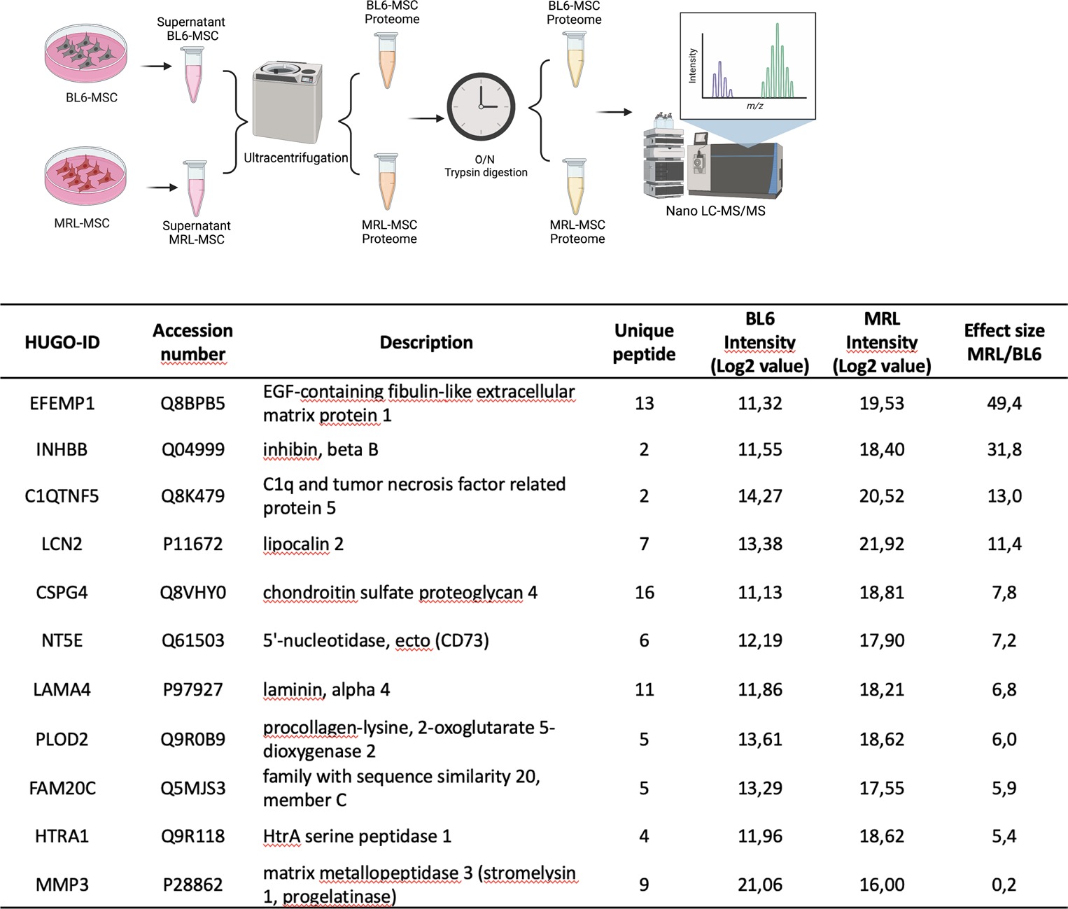PLOD2, a key factor for MRL MSC metabolism and chondroprotective properties