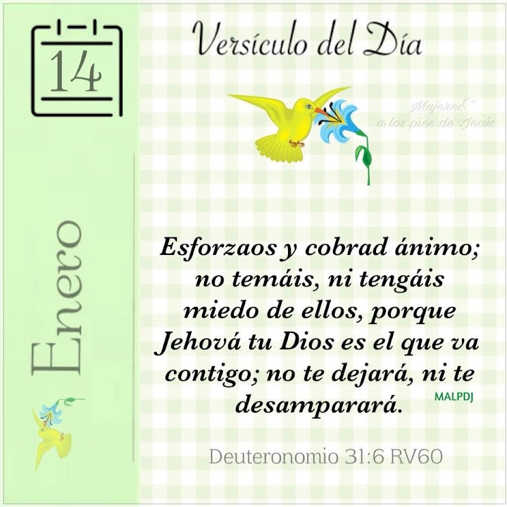 Enero 14 ~ Deuteronomio 31:6