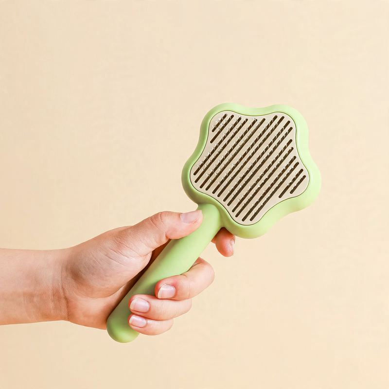 Pet comb with stainless steel teeth