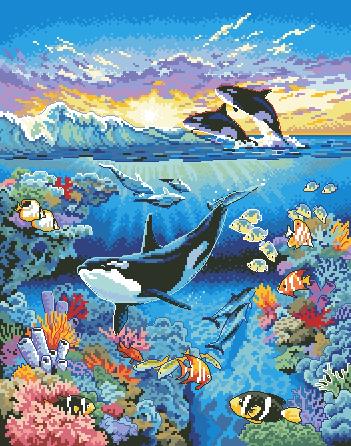 DIM72572 The Living Ocean