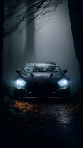 Luxury Sports Car Headlights in Dark Misty Forest Road