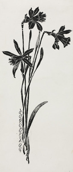 Daffodils c 18571911