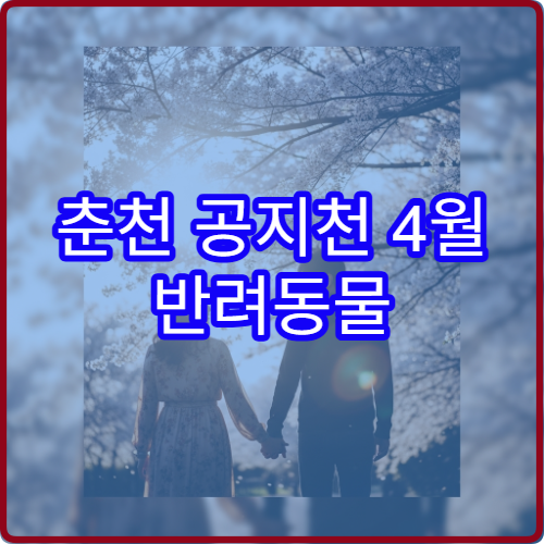 춘천 공지천 4월 반려동물 산책 허용 구역 안전 가이드