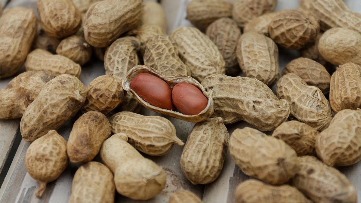 건강한 다이어트를 위한 맞춤형 영양소 섭취 기준과 실천법