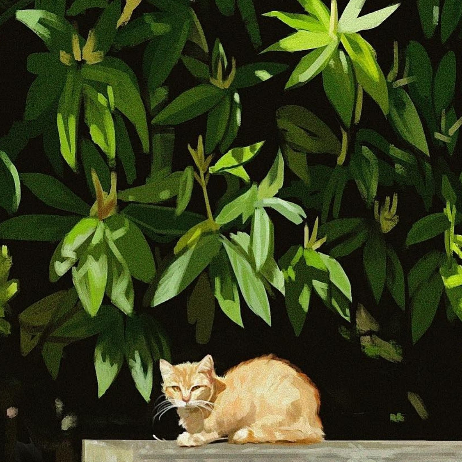 Download Cat, Garden, Painting, Pet Full HD iPhone
