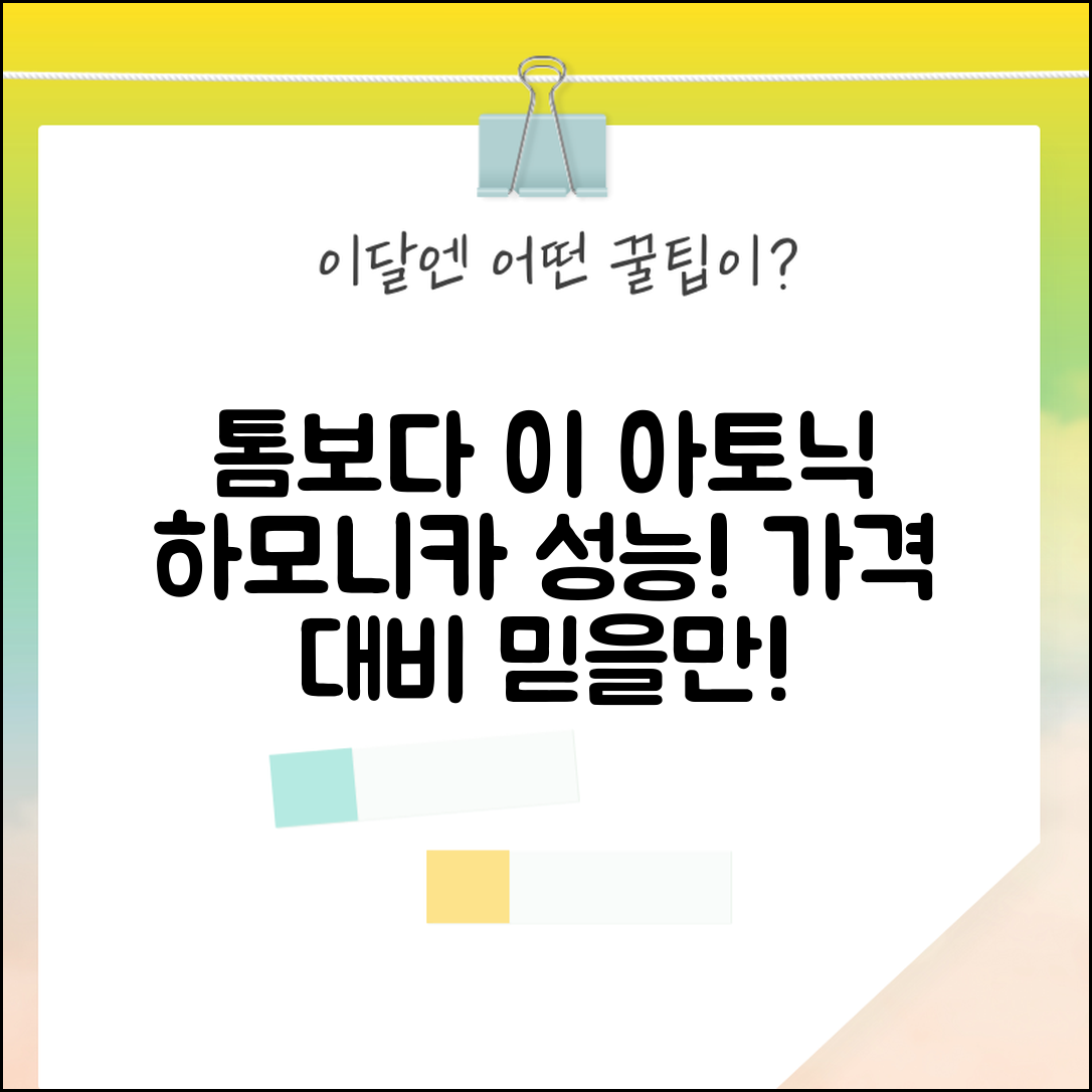 “톰보다이아토닉하모니카, 가격 대비 믿을만한 성능!”