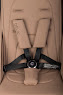 Stroller for twins Cavoe Deux Mocca