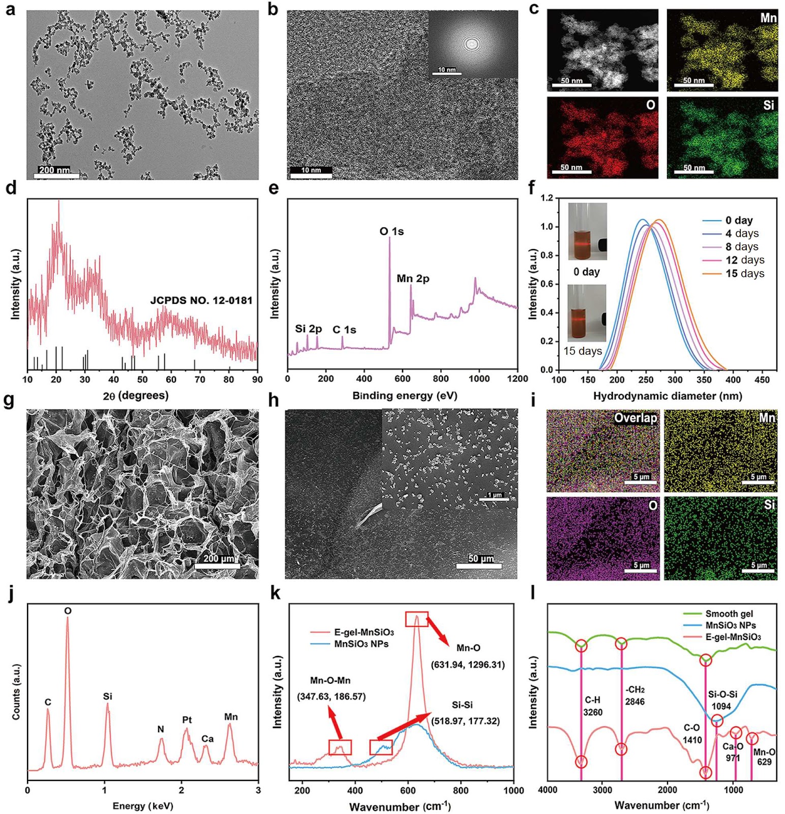 Confined Electrophoretic Deposition of Uniformly Dispersed Nanoparticle-Integrated Hydrogels with Enhanced Mechanical and Enzyme-Like Properties for Antibacterial Therapy