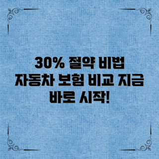 자동차보험비교, 보험 절약, 초보 운전자, 보험 전문가, 비교 사이트