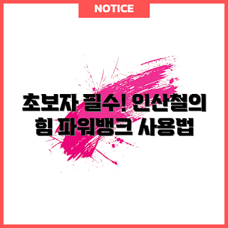 인산철파워뱅크, 인산철파워뱅크 사용법, 전력 저장의 이점, 어떻게 파워뱅크를 선택하나, 인산철배터리란 무엇인가