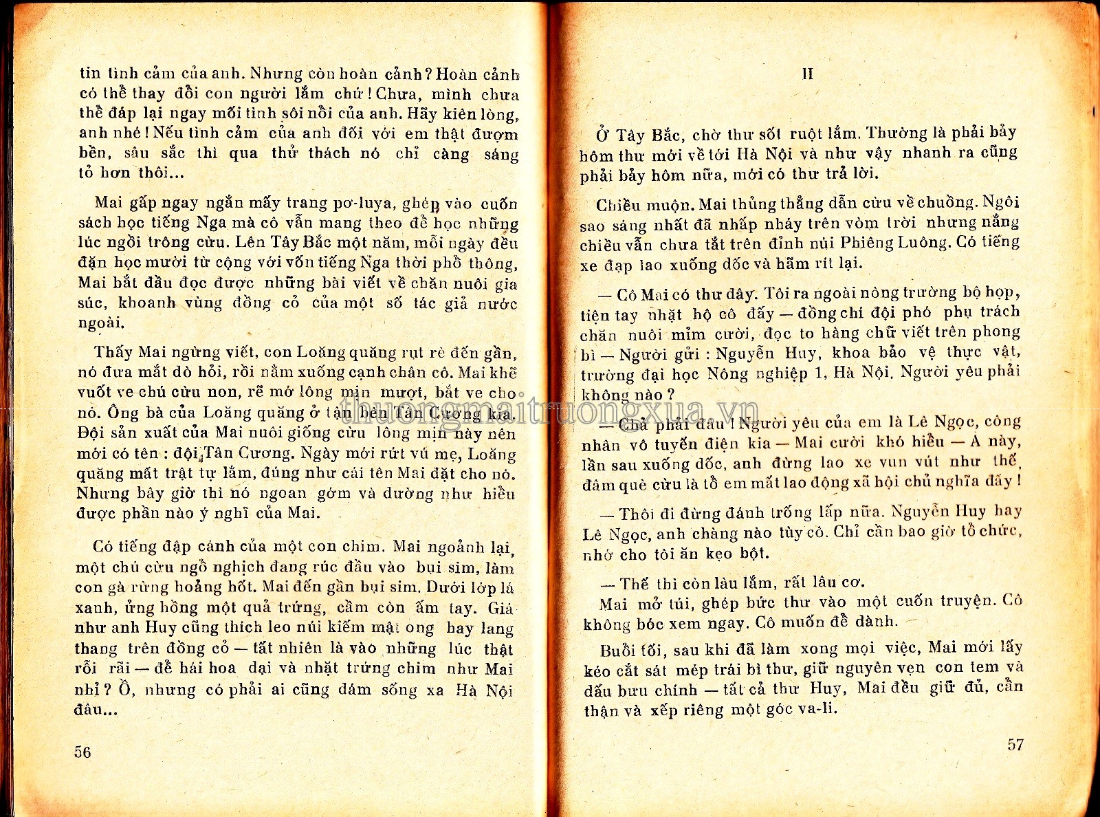 Chân trời xa (tập truyện ký - 1977) - Trang 28