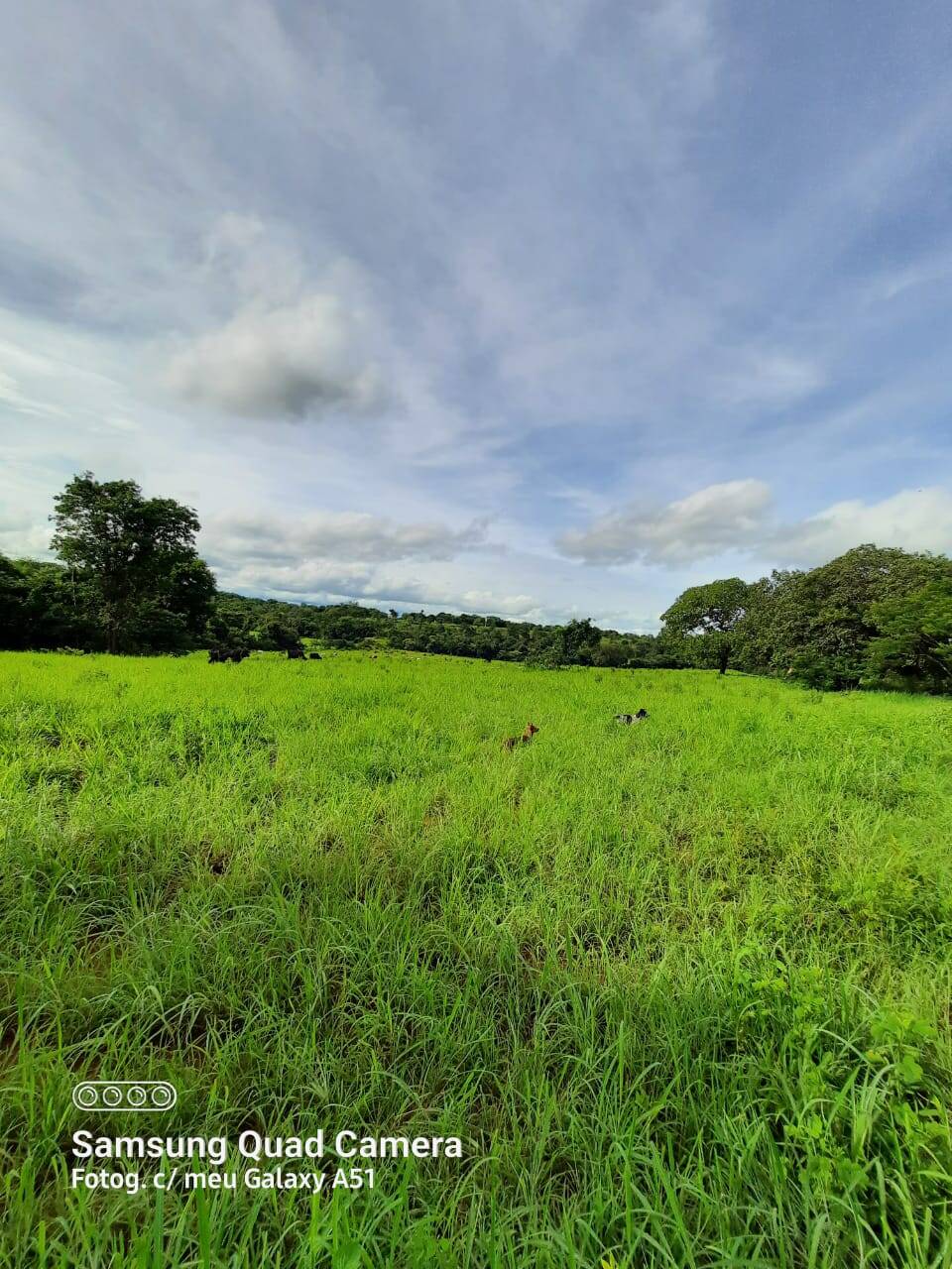 Fazenda em Formoso-GO 8