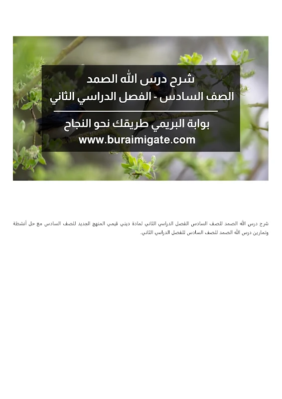 صورة الغلاف