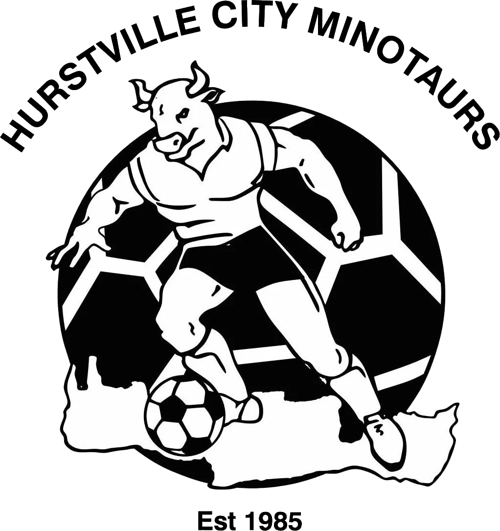 Hurstville City Minotaurs logo