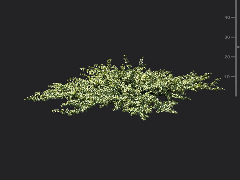 Maxtree - Plant Models Vol.119