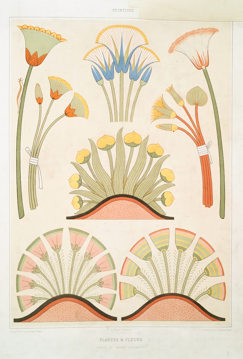 Peinture plantes  fleurs tirées de divers monuments 1878