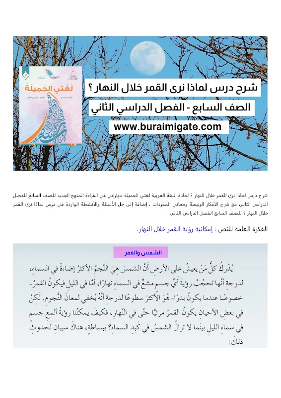 صورة الغلاف