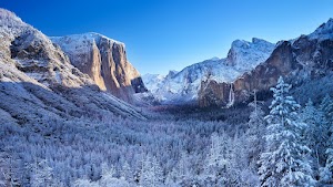 Winter Nature Wallpaper