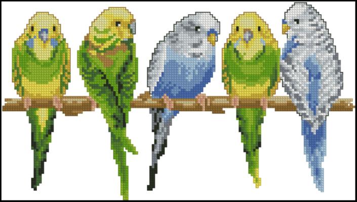 CMP 360082 Parrots On A Twig