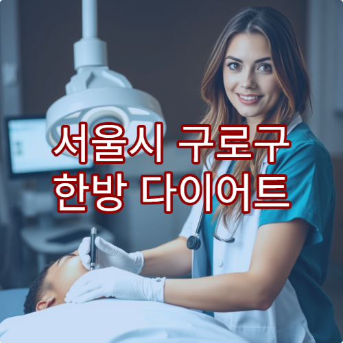 서울시 구로구 한방 다이어트 및 비만 치료 프로그램 운영 한의원