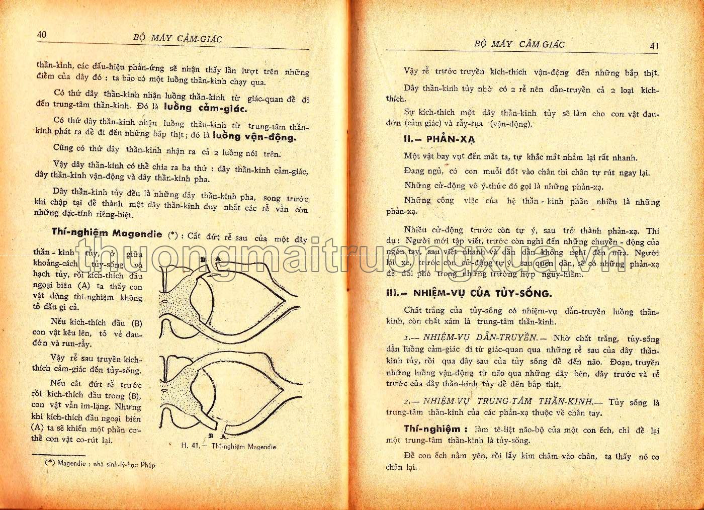 Vạn vật học lớp đệ tứ (1967) - Trang 21