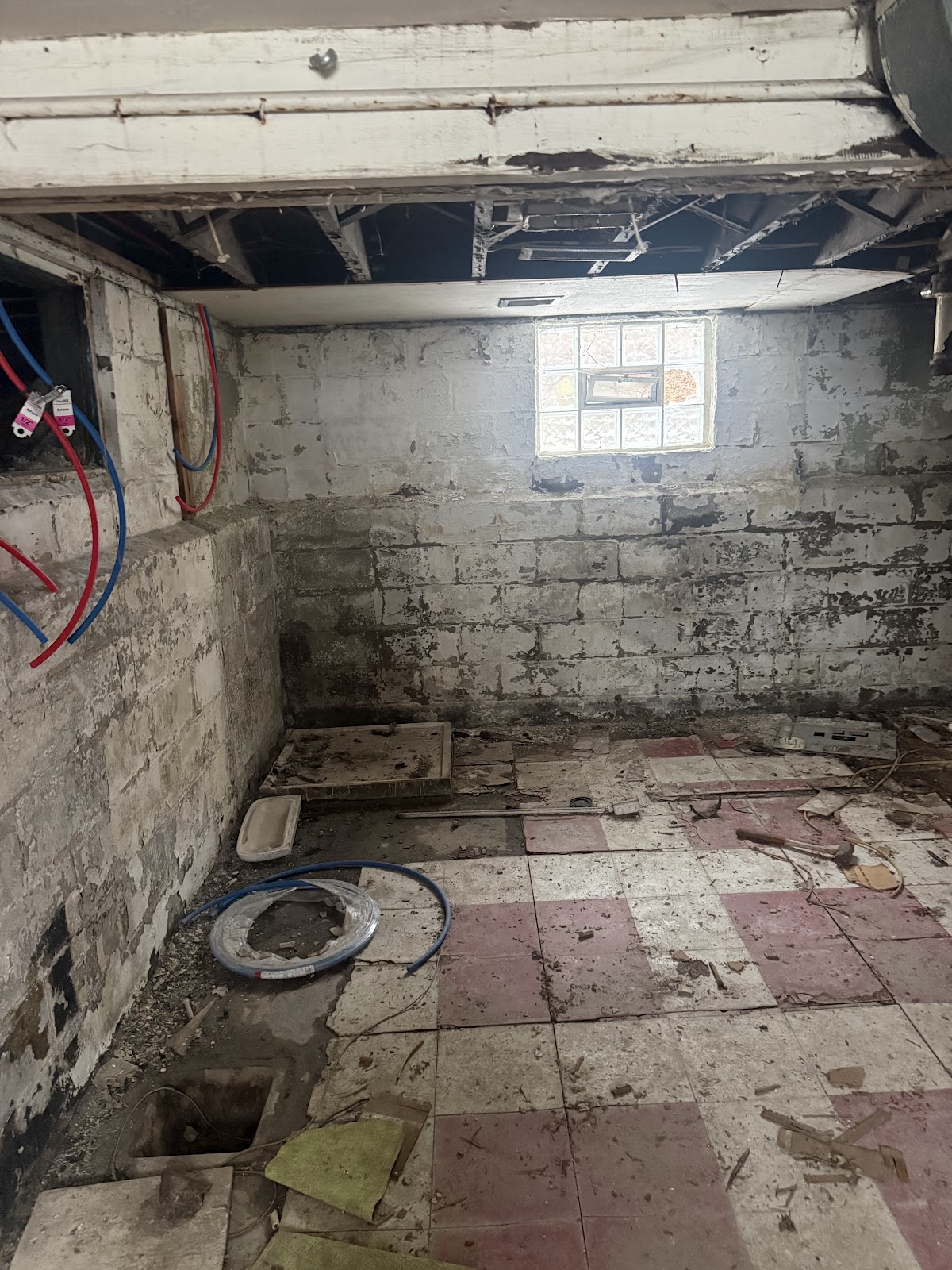 Copy of IMG_1877.HEIC