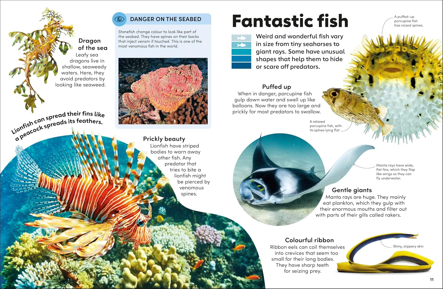 Eyewonder Oceans - thumbnail 2