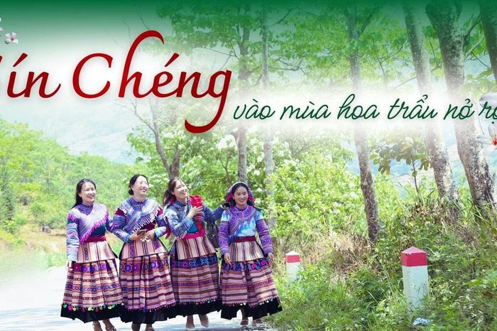 Sín Chéng mùa hoa trẩu nở rộ - Báo Lào Cai