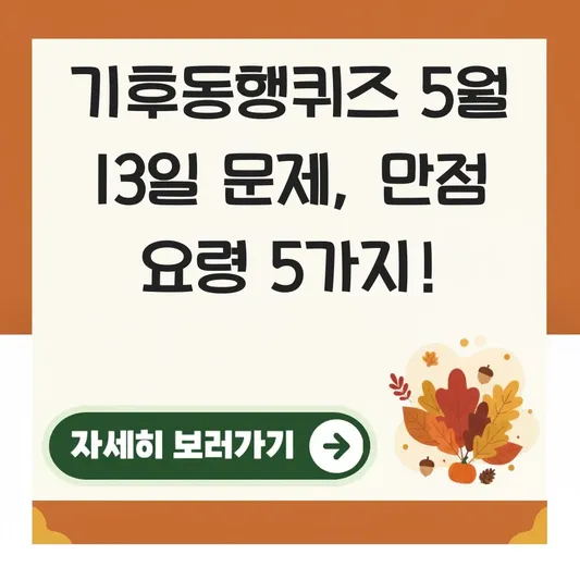 기후동행퀴즈 5월 13일 문제 푸는 요령