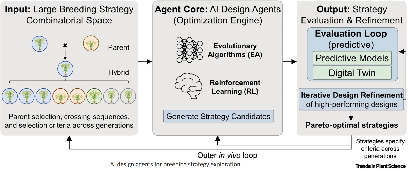 Click Breeding: Toward programmable crop design